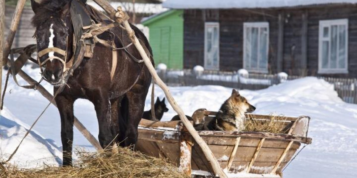 Француз сбежал из Парижа в русскую деревню и в ужасе вернулся. А потом начались чудеса