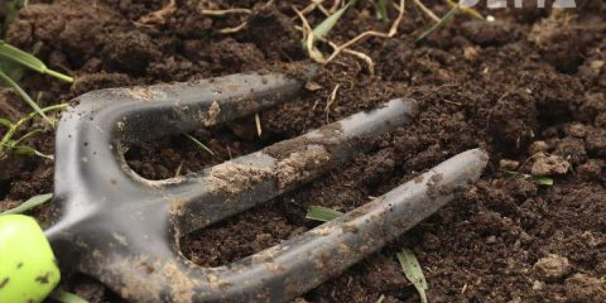 Бесплатный клочок России: кому и как получить землю от государства