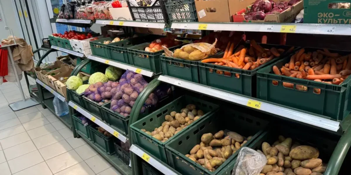 «Убийца почек» или забытый вкус русского лета? Почему Европа опасается, а Россия обожает