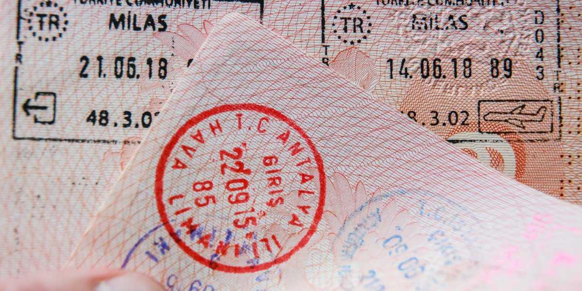 Китай на первом месте, Эстония – неожиданный лидер: кто активнее всех получает российскую визу