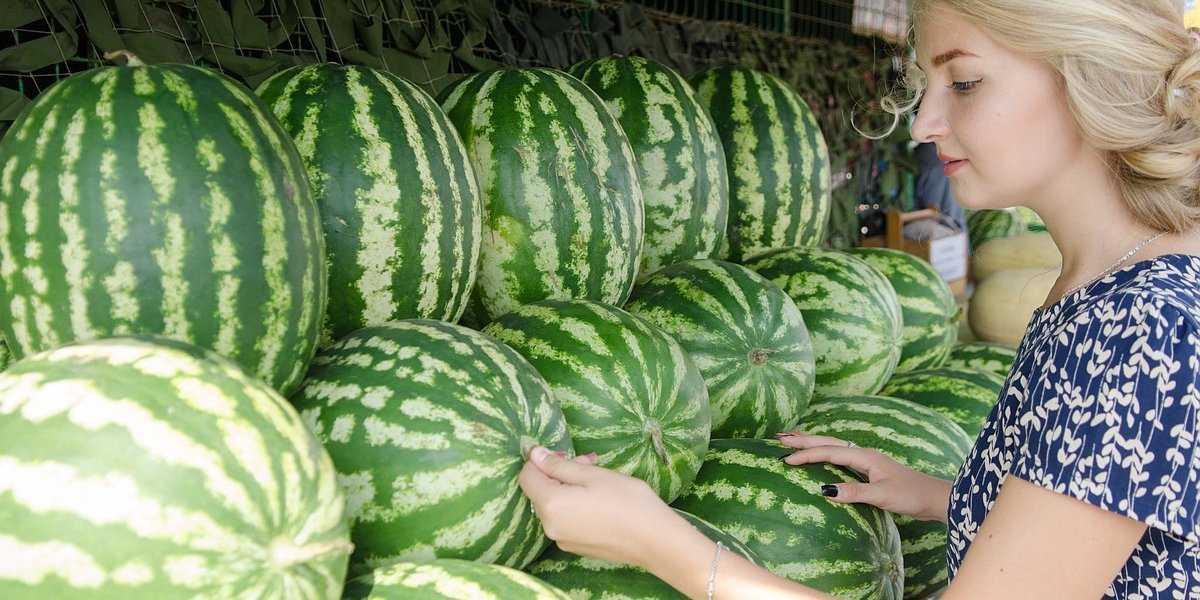 Опасные арбузы в Кизляре: Роспотребнадзор обнаружил полуторное превышение нитратов
