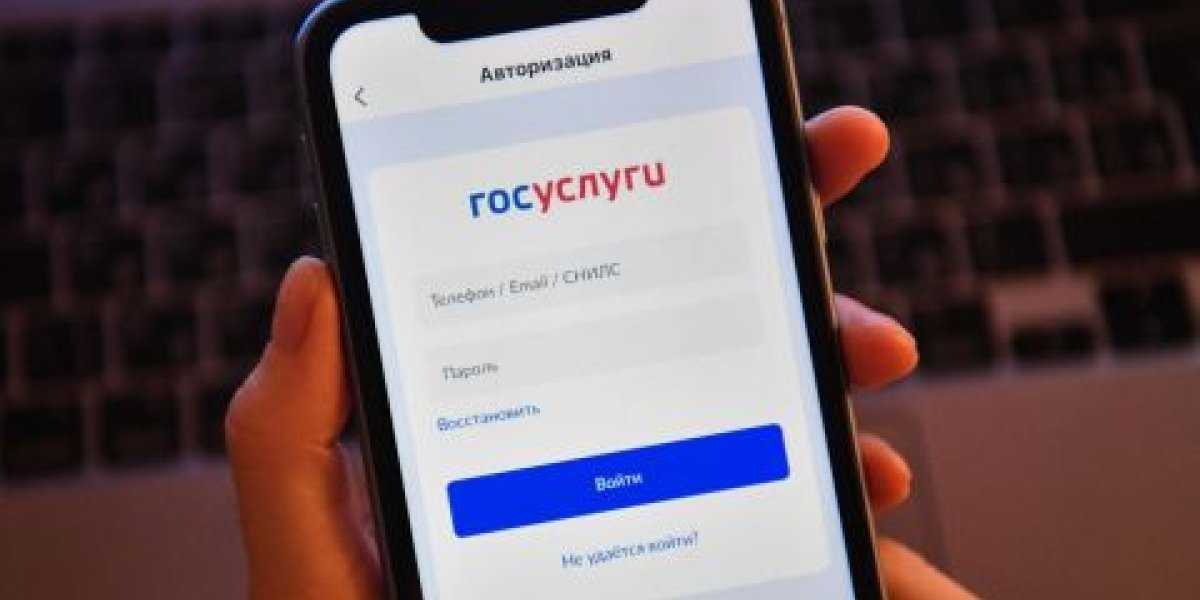 Доступ к льготам для участников СВО: цифровой скачок через Госуслуги свершился