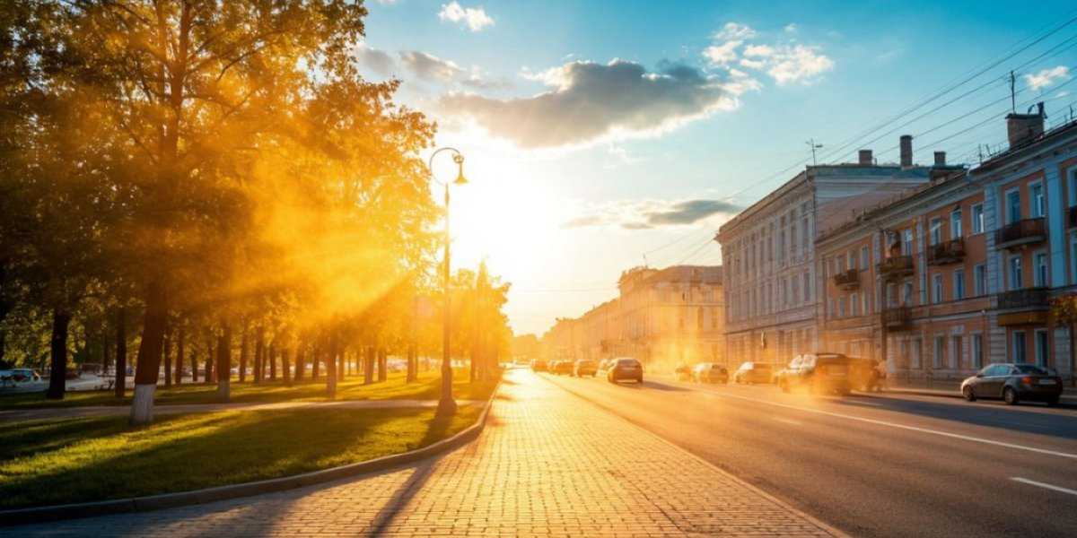 Обещанного три года ждут: почему в Центральной России лето снова подвело