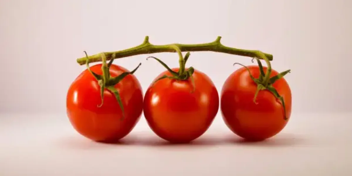 Турист рассказал о ценах на продукты в