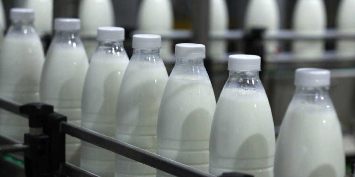 Опасность на полках: Россельхознадзор обнаружил патогены и фальсификат в популярных продуктах