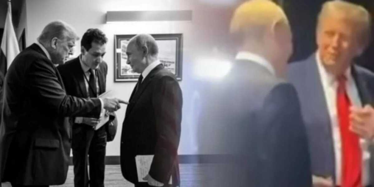 На Украине истерика – Трамп передал в Киев послание от Путина, Зеленский едет в Вашингтон. Кэрролл: «Временное прекращение огня достигнуто»