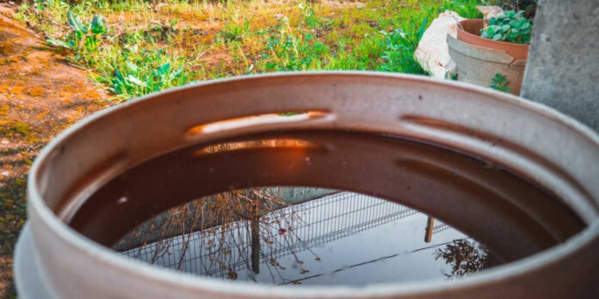 Гениально просто: как поливать растения чистейшей водой из грязной бочки