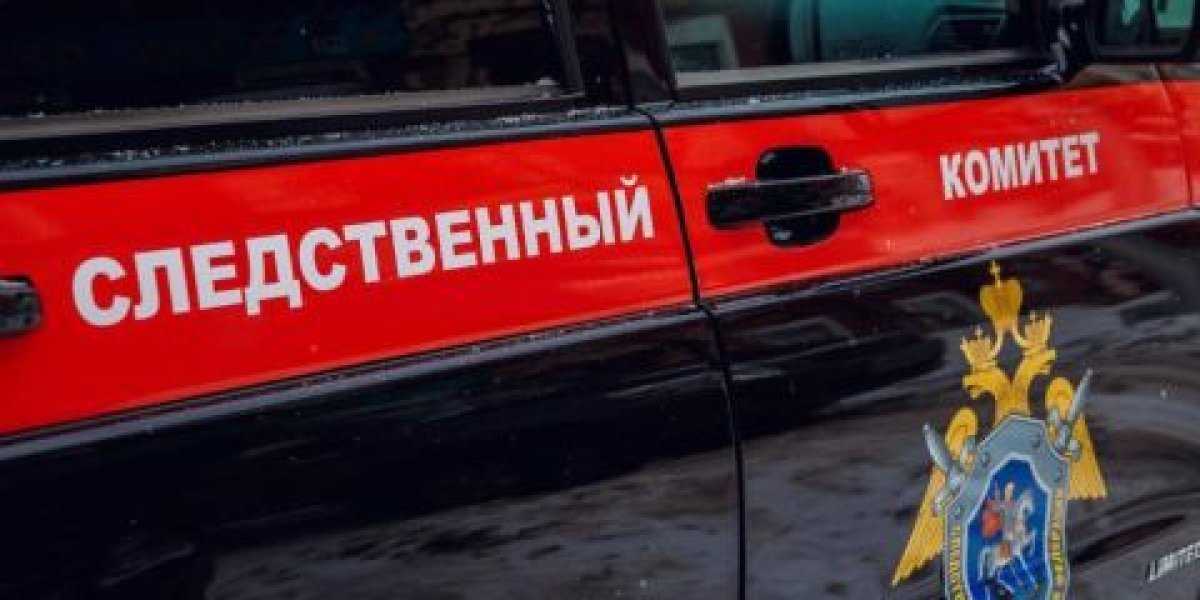 Шестеро мошенников приговорены к тюрьме за кражу 100 миллионов рублей у пенсионеров через финансовую пирамиду