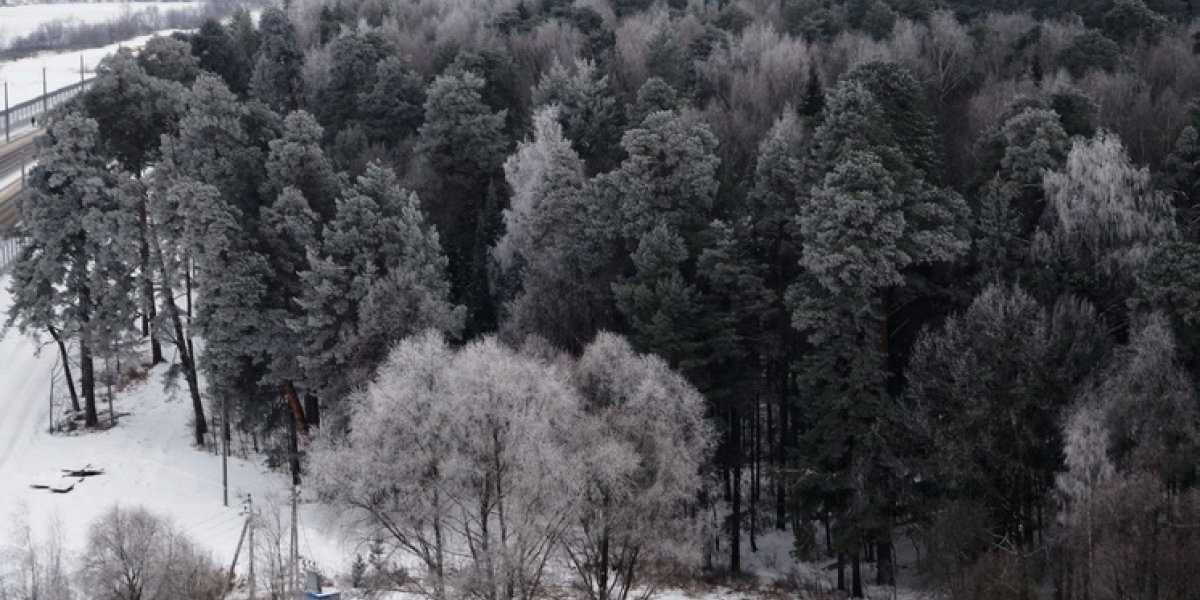Зима 2025-2026: научные прогнозы и народные приметы о предстоящем сезоне