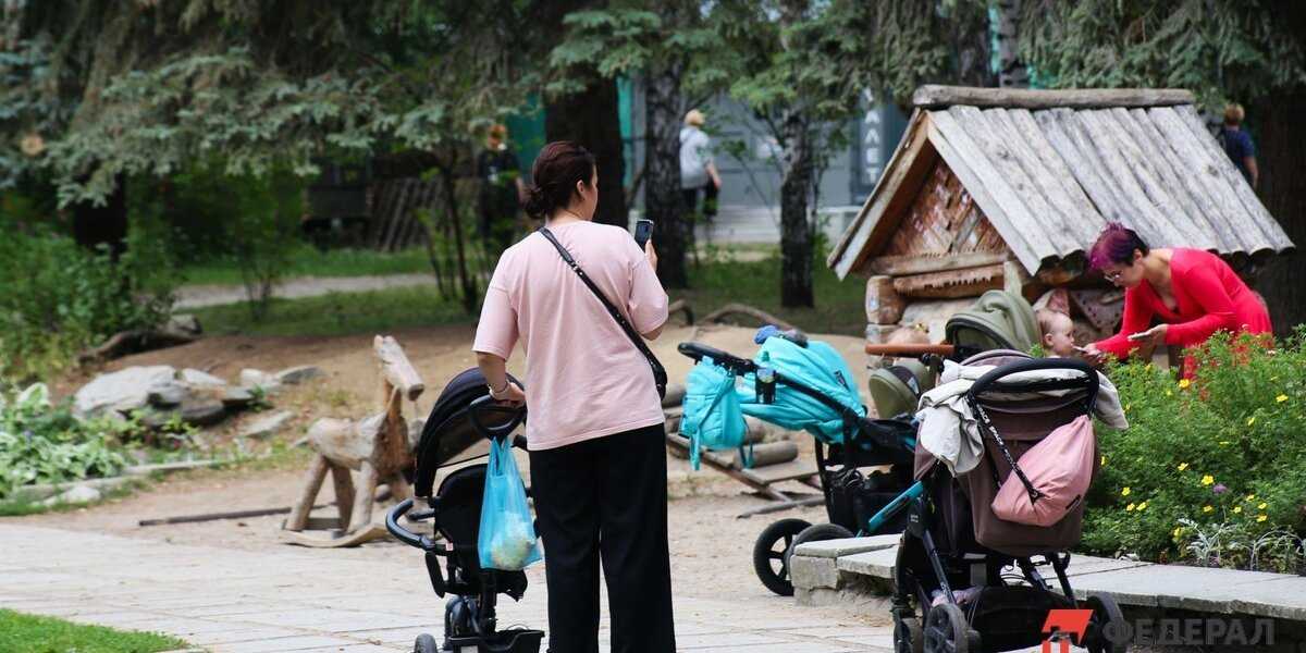 Какие доходы россиян остаются невидимыми для Социального фонда при оформлении единого пособия