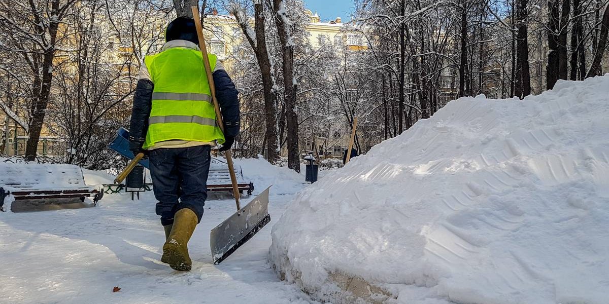 Дворники обошли программистов в зарплатной гонке: парадоксы российского рынка труда
