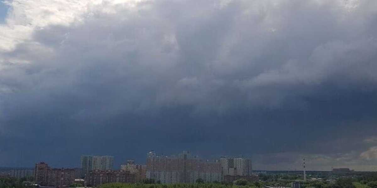 Желтый уровень опасности: как усиление ветра до 15 м/с повлияло на жизнь Москвы Желтый уровень опасности: как усиление ветра до 15 м/с повлияло на жизнь Москвы