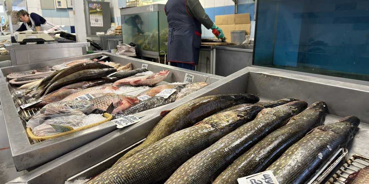 Путин поручил повысить потребление рыбы в России: «Это важно для здоровья нации»