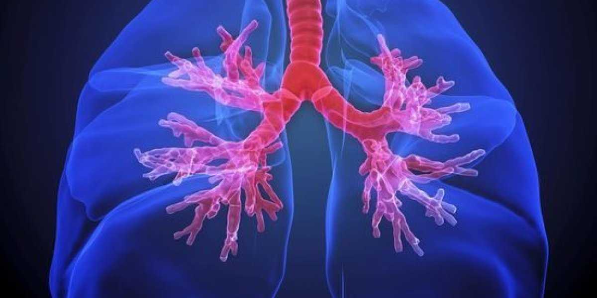 Золотое правило диагностики: как распознать бронхит за считанные секунды Золотое правило диагностики: как распознать бронхит за считанные секунды