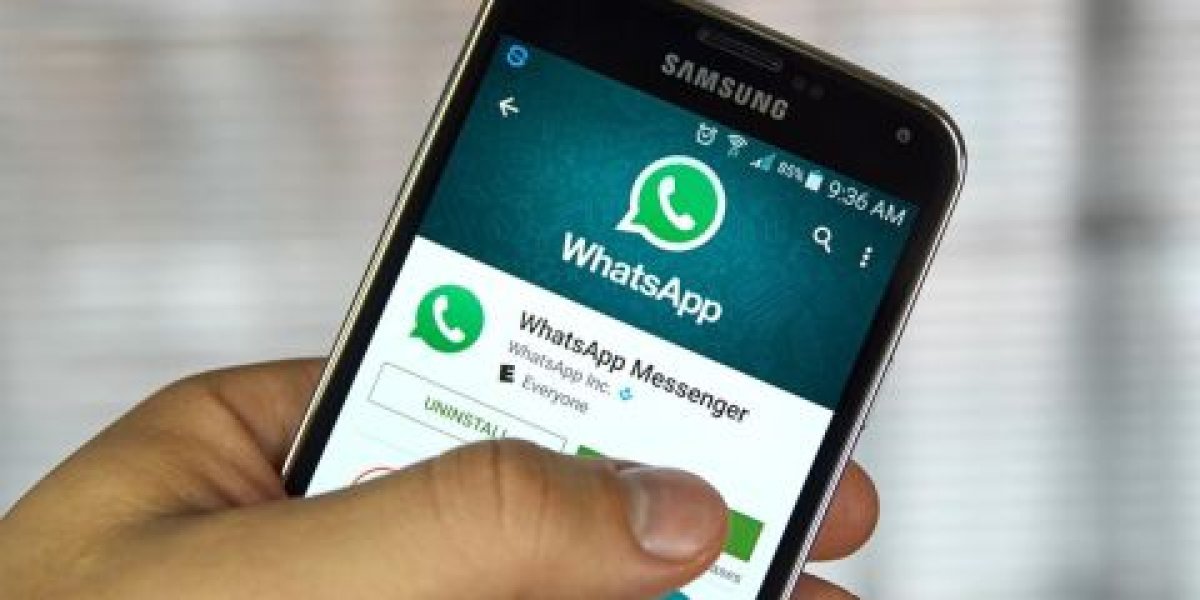 Вирус SORVEPOTEL в WhatsApp*: как избежать заражения и блокировки аккаунта