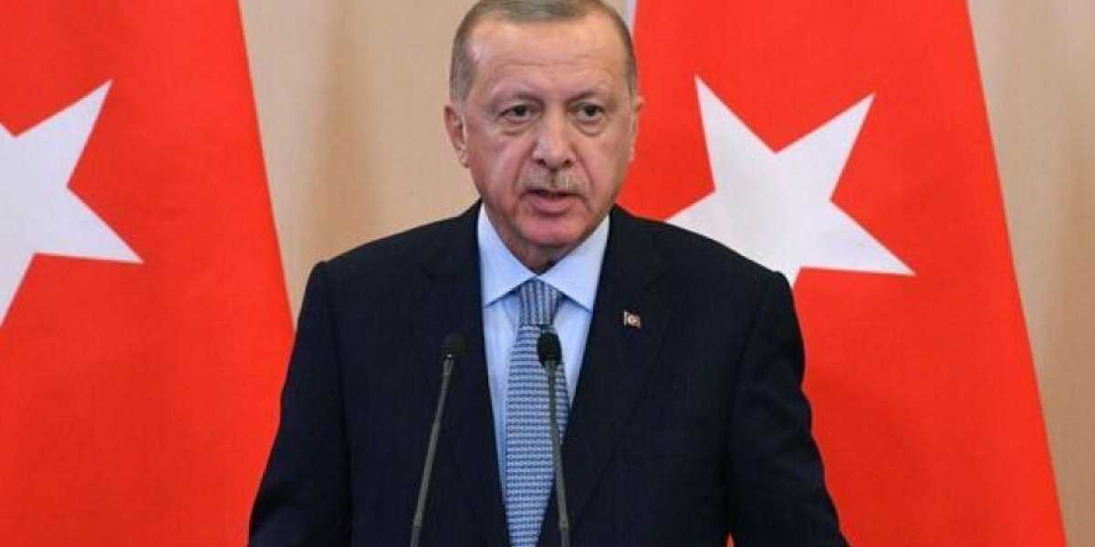 Дипломатический юмор: Эрдоган посмеялся над Мелони на саммите в Египте Дипломатический юмор: Эрдоган посмеялся над Мелони на саммите в Египте