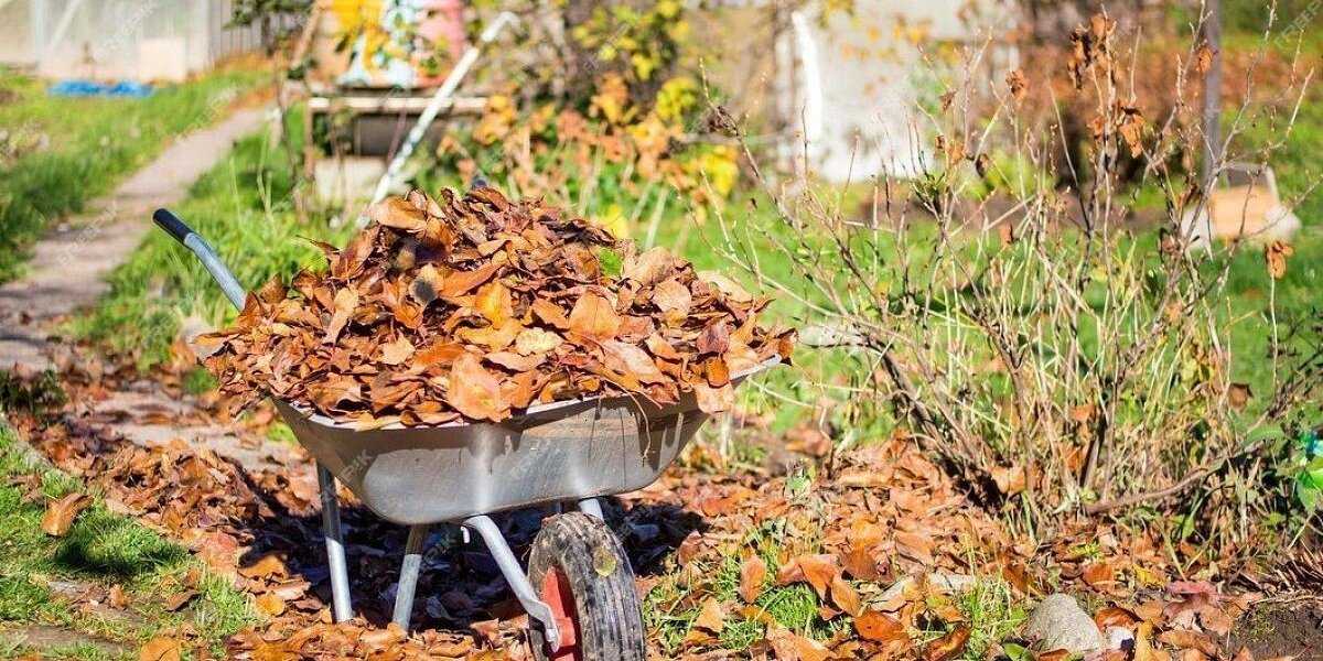 Опавшая листва в саду: убирать или оставить? Раскрываем все за и против