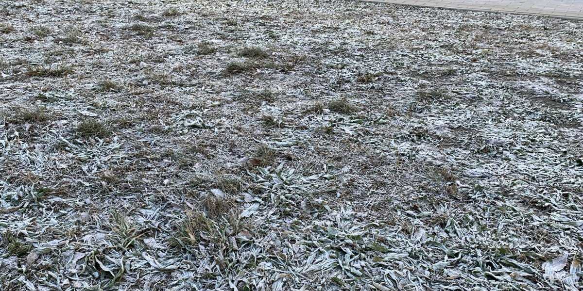 Рекорд, который не повторялся 65 лет: почему новосибирские морозы в ноябре шокировали даже синоптиков