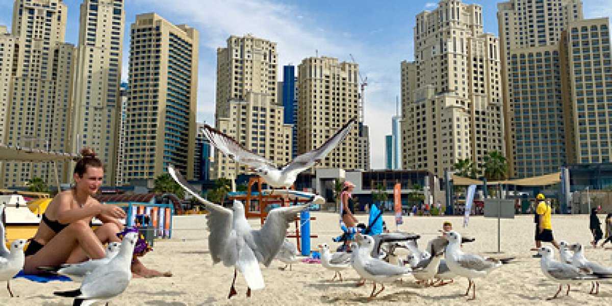 Россияне массово отказываются от ОАЭ: раскрыты настоящие причины