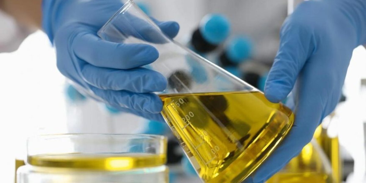 Оливковое масло или подсолнечная подделка: как распознать фальсификат на полках магазинов