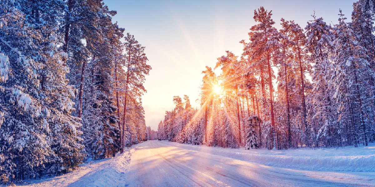 21 декабря: день, когда нельзя оставаться в одиночестве, иначе грозит одинокая старость 21 декабря: день, когда нельзя оставаться в одиночестве, иначе грозит одинокая старость