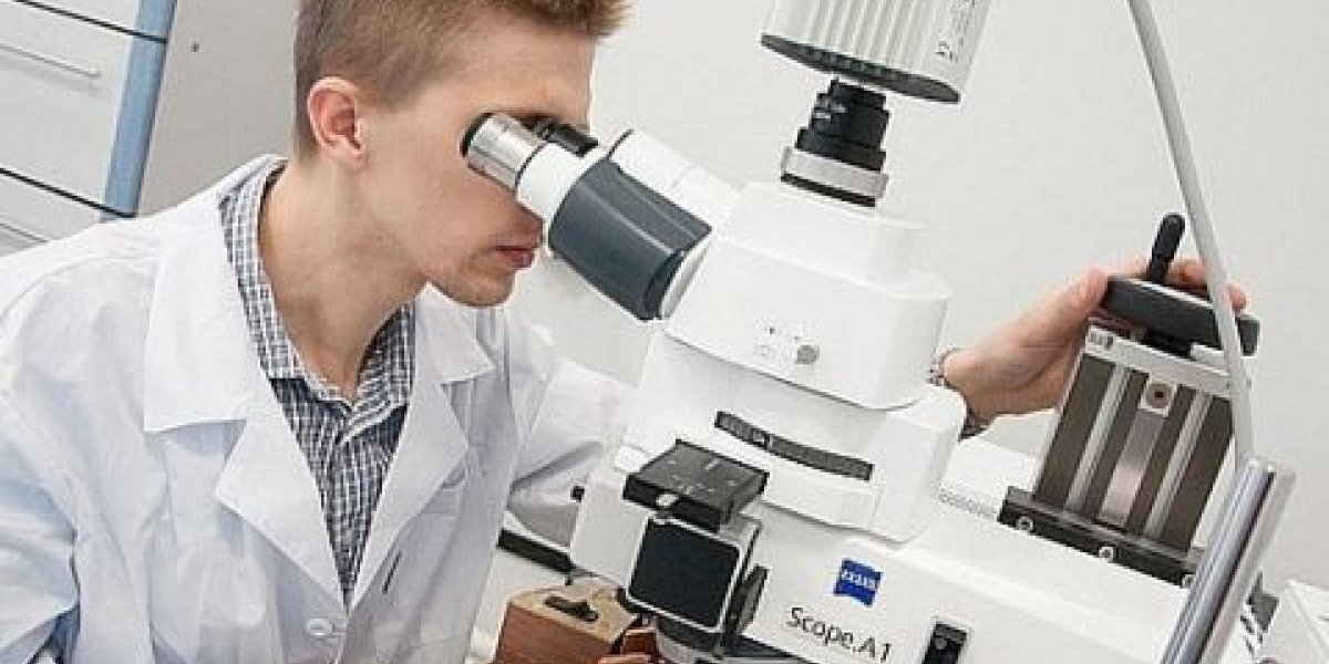 «Фаговый коктейль» вместо таблетки: как российские учёные нашли оружие против супербактерий, не поддающихся антибиотикам «Фаговый коктейль» вместо таблетки: как российские учёные нашли оружие против супербактерий, не поддающихся антибиотикам