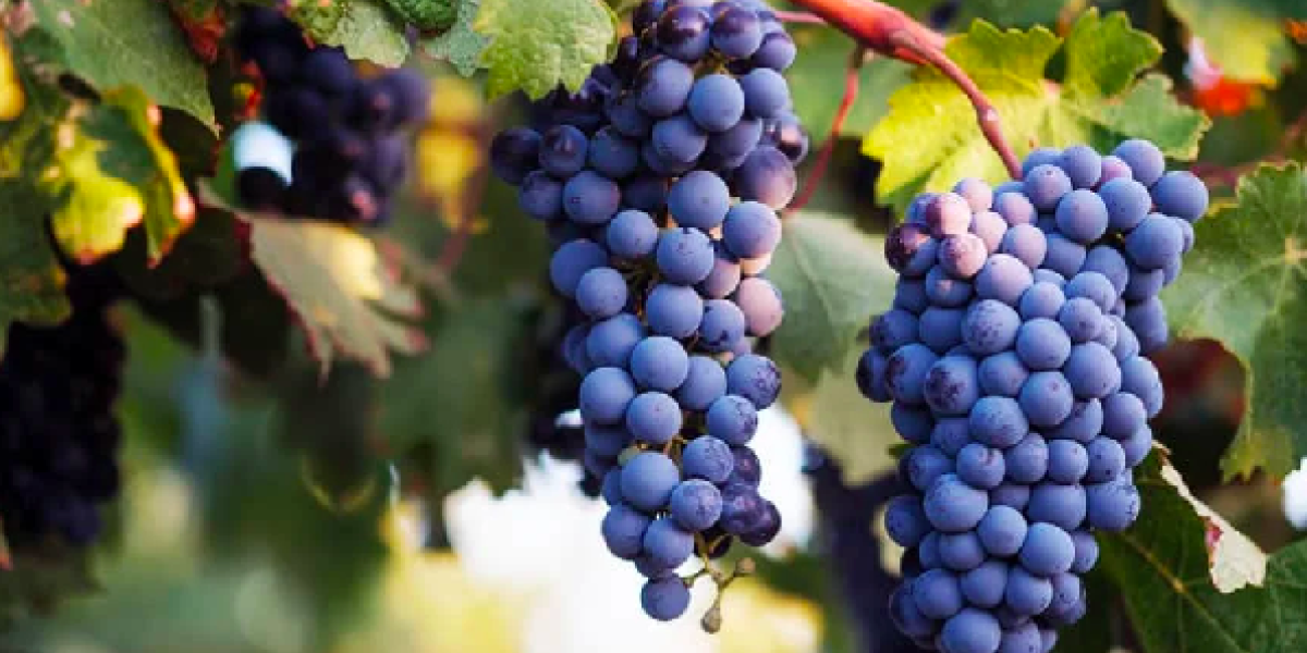 Неожиданный помощник в борьбе с холестерином оказался у вас на кухне Неожиданный помощник в борьбе с холестерином оказался у вас на кухне