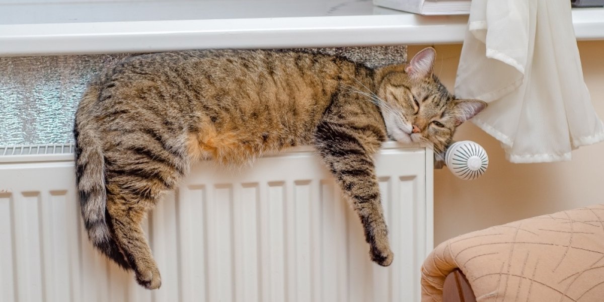 Тепловой шок в почтовых ящиках: россиянам пришли счета за отопление до 20 тысяч рублей Тепловой шок в почтовых ящиках: россиянам пришли счета за отопление до 20 тысяч рублей